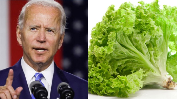Biden Vs Lettuce Who Won