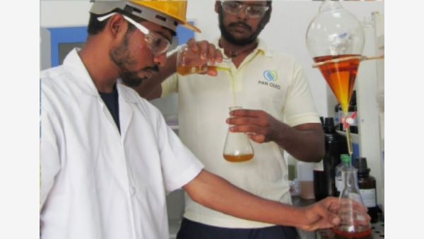 Pan Oleo Energy Driving Green Energy Progress with Advanced Research