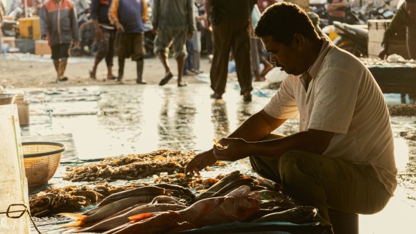 Budget 2024 India s Tax System