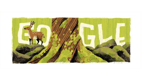 Google Doodle Celebrates Shiratani Unsuikyo Valley In Japan's Chubu Region