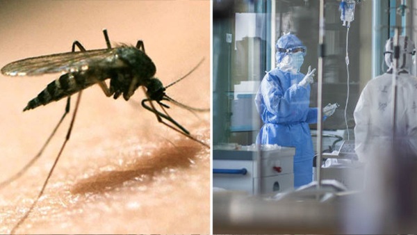 Chandipura Virus TN Officials On Alert