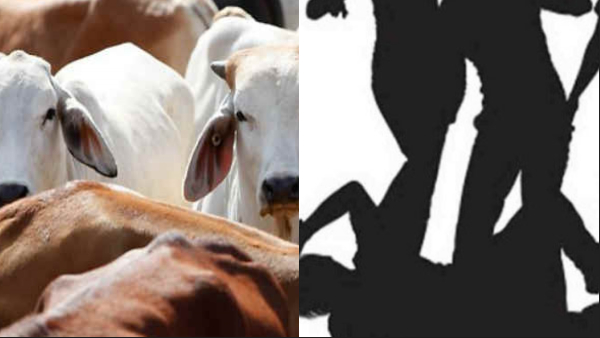 2 Thrashed Over Cow Smuggling Suspicion