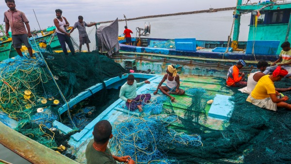 9 Indian Fishermen Arrested By Sri Lankan Navy Tamil Nadu CM MK Stalin Seeks Help From Centre