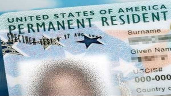 Why Green Card Holders Must Get US Citizenship Ahead Of US Presidential Elections 2024 Here s What Experts Say