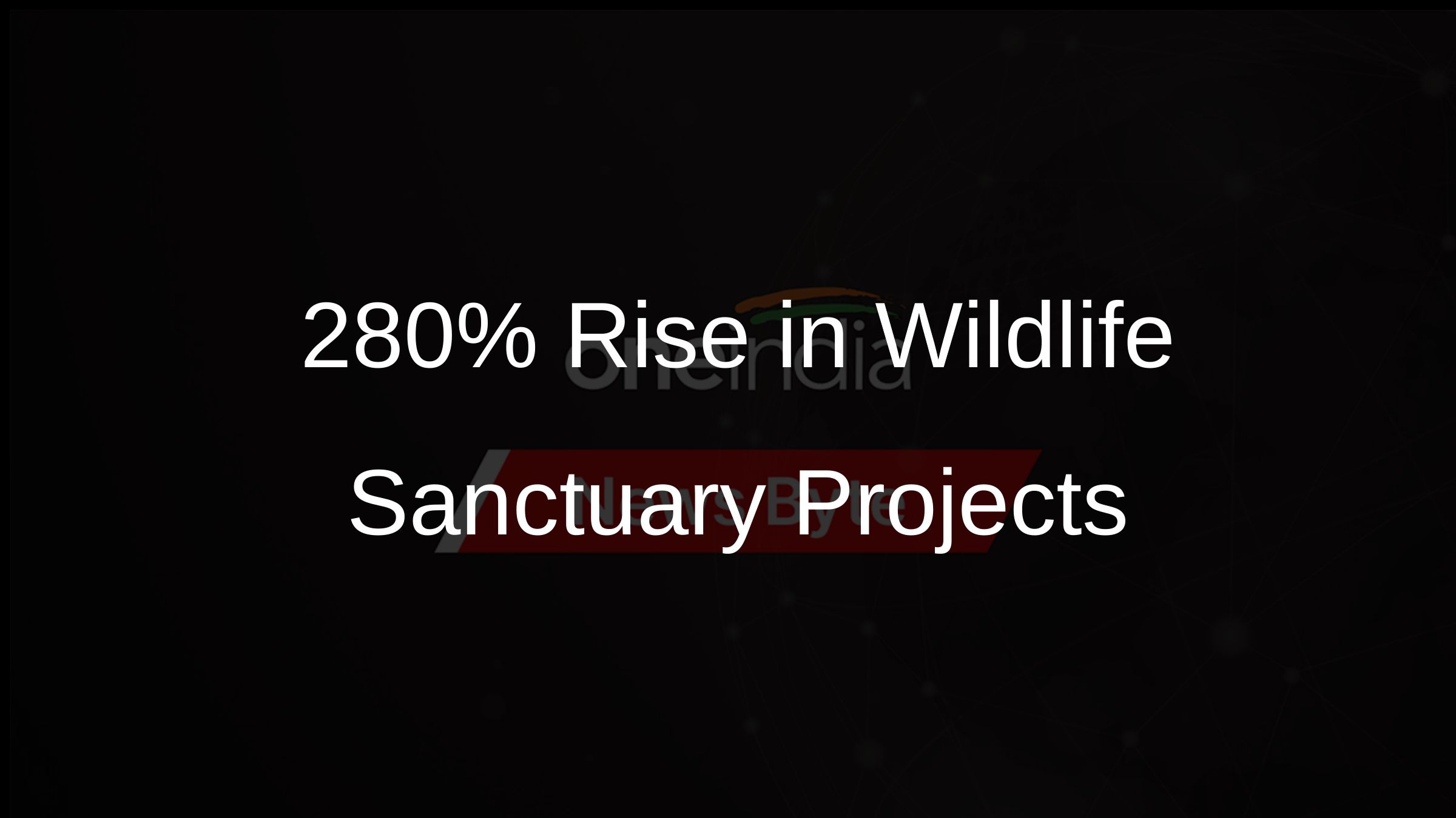 280% Rise in Wildlife Sanctuary Projects