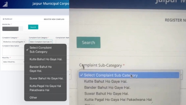 Kutte Bahut Ho Gaye Hai Jaipur Municipal Corporation s Complaints Page Leaves Internet In Splits