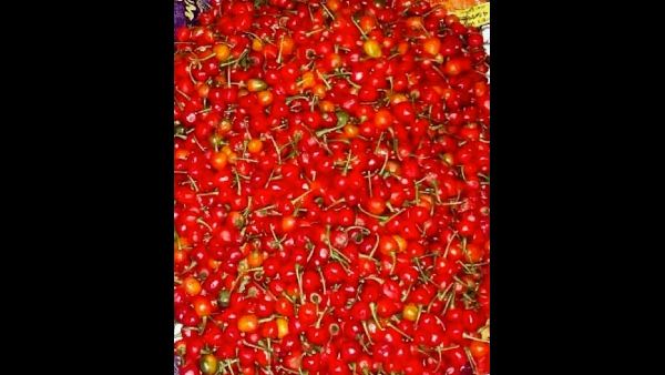 Putins Office Acknowledges Return Plea