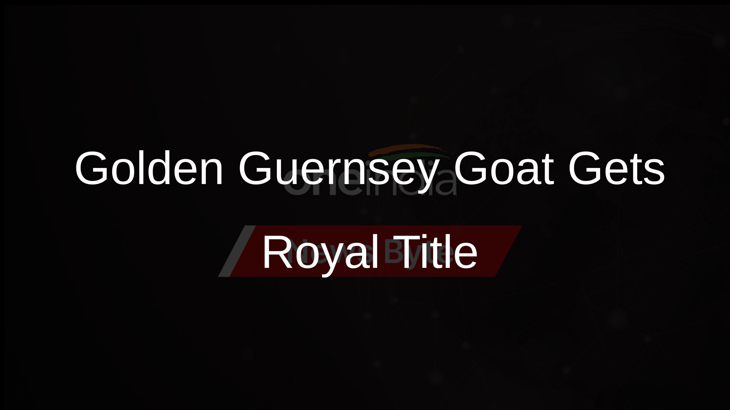 Golden Guernsey Goat Gets Royal Title