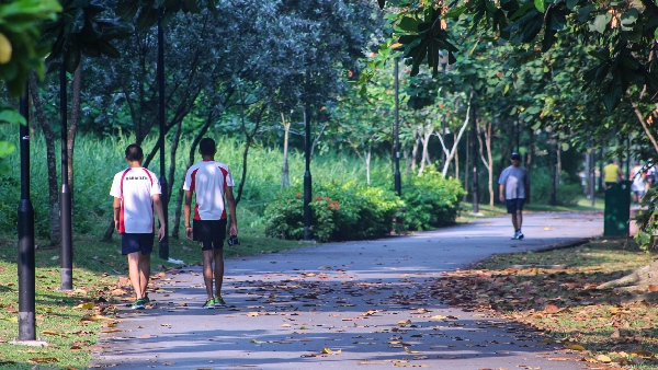 Mental Health Courses