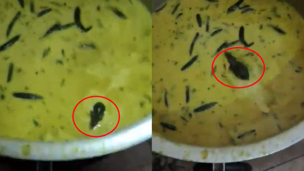 Hyderabad Viral Video Rat Found In Food