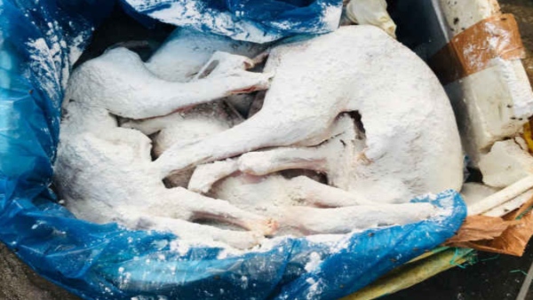 Suspected Dog Meat 1 500 kg Of Red Meat Confiscated At Bengaluru Railway Station