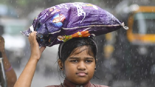 Maharashtra Weather Forecast