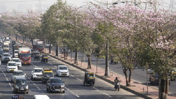 Thane s Traffic Woes