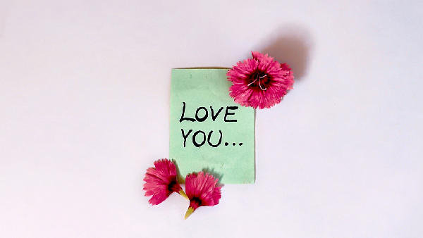 Five-Step Wellness Guide