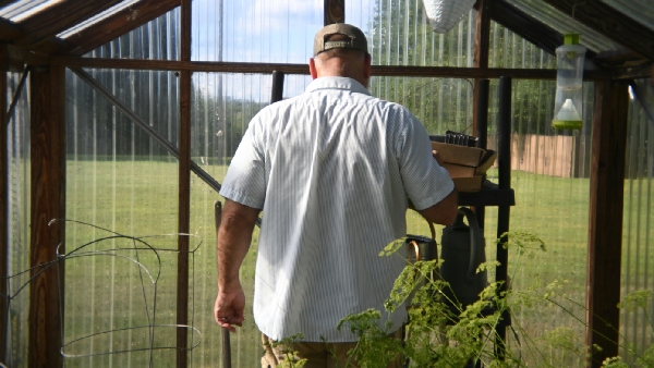 Five-Step Wellness Guide