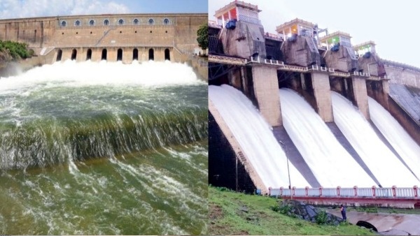 Tamil Nadu Dam Levels Today Check Water Level In Mettur Krishnagiri Others On July 24