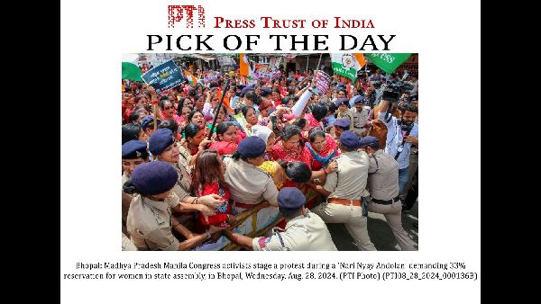 Bhopal: Where Tigers Roam at Night