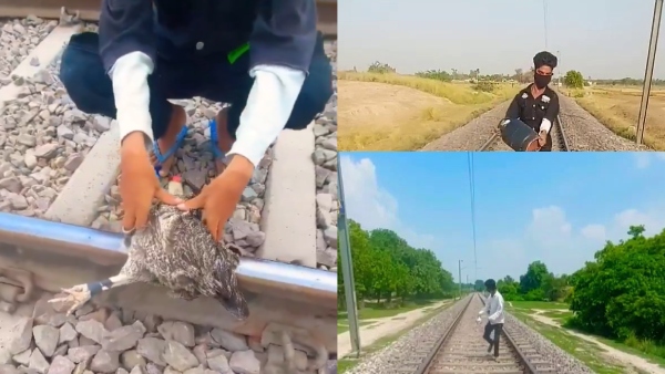 Gulzar Sheikh s Railway Track Stunts YouTuber Arrested For Hazardous Videos Gulzar Sheikh s Railway Track Stunts YouTuber Arrested For Hazardous Videos