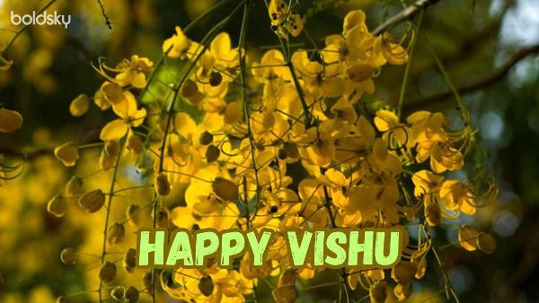 Malayalam New Year Vishu Celebrations 2024 Malayalam New Year Vishu Celebrations 2024