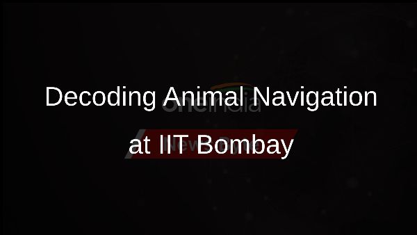 Decoding Animal Navigation at IIT Bombay