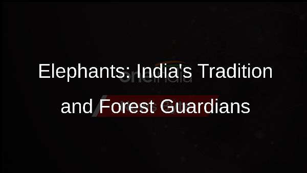 Elephants: Indias Tradition and Forest Guardians