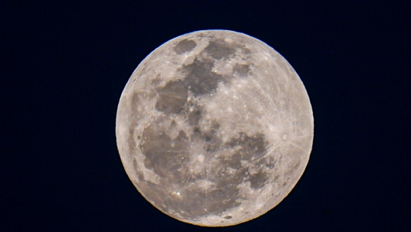 A Moon Sanctuary Protecting Earth s Endangered Species