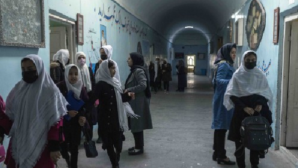 Girls Education Deprivation In Afghan