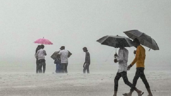 Mumbai Lakes Water Level