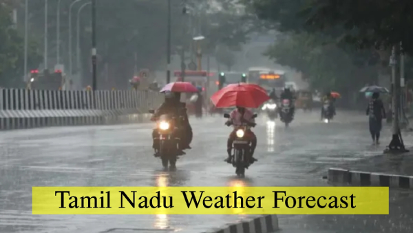 Tamil Nadu Weather Update Yellow Alert For 6 Districts