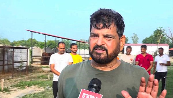 Hooda Wrote The Script Brij Bhushan s First Reaction On Vinesh Phogat Bajrang Punia Joining Congress