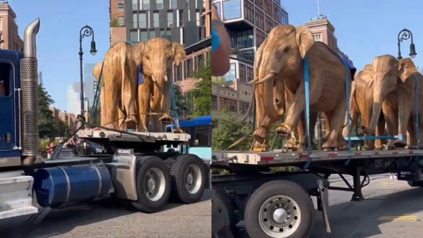 From Nilgiris To New York Tamil Nadu Artisans Craft 100 Life-Size Elephant Sculptures To Promote Coexistence