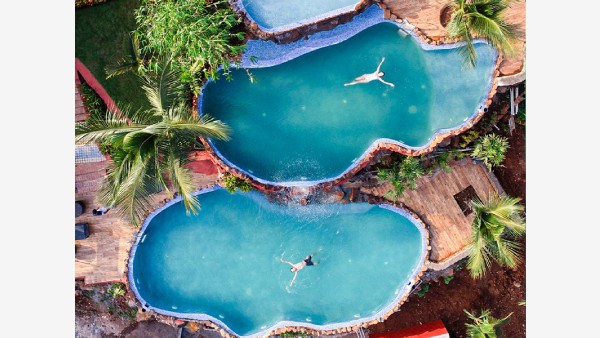 Feel the Power of Ayurvedic Healing