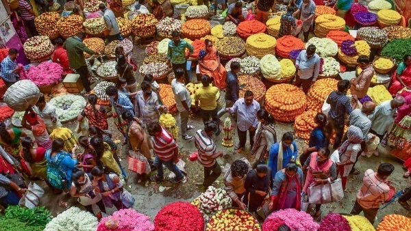 Flower Prices In Bengaluru