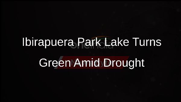 Ibirapuera Park Lake Turns Green Amid Drought