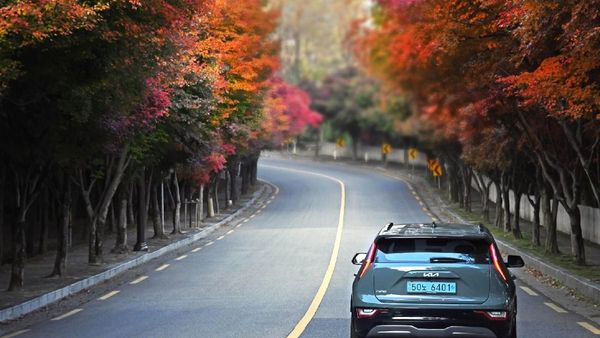 World EV Day Top Electric Cars Of 2024 Discover The Best EVs For Every Need