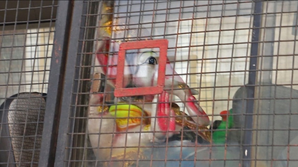 Why Is Lord Ganesh In Police Vehicle The Viral Photo Explained