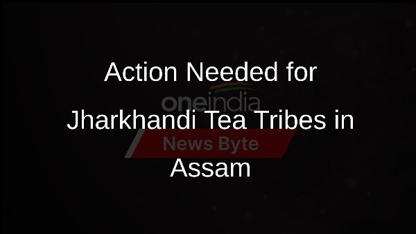 Action Needed for Jharkhandi Tea Tribes in Assam