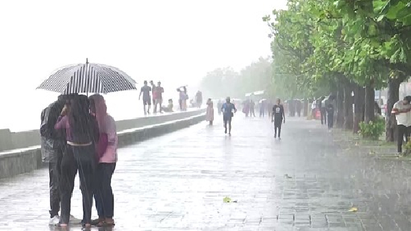 Mumbai Lakes Water Level Today