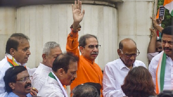 Maharashtra Assembly Election 2024