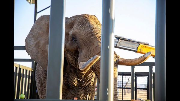 SA Education Bill Sparks Unity Concerns