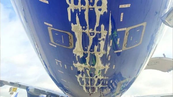 IndiGo Flight Tailstrike Plane Returns To Airport After Major Incident