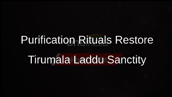 Purification Rituals Restore Tirumala Laddu Sanctity