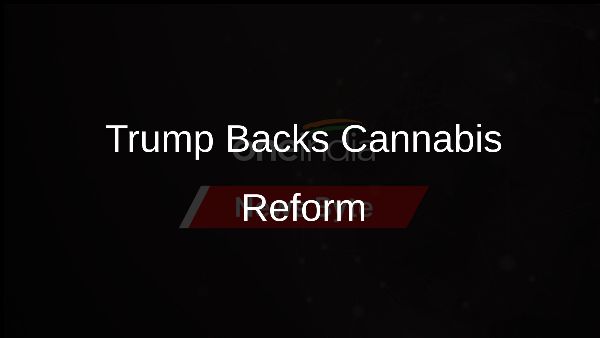Trump Backs Cannabis Reform