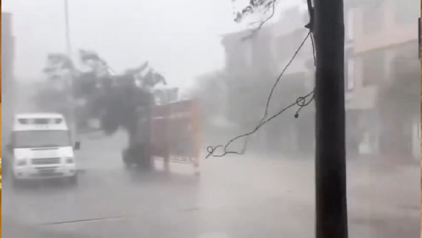 Super Typhoon Yagi Devastates China s Hainan 4 Dead 95 Injured - Watch Videos Super Typhoon Yagi Devastates China s Hainan 4 Dead 95 Injured - Watch Videos