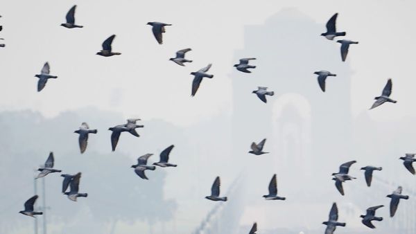 Delhi Chokes On Diwali Morning Anand Vihar s AQI Slips Into Severe Zone