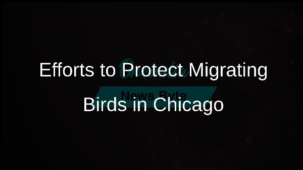Efforts to Protect Migrating Birds in Chicago
