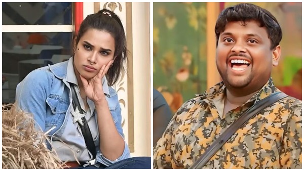 Bigg Boss Telugu 8 Elimination Tasty Teja Or Hariteja - Who Will Be Evicted From Nag s Show