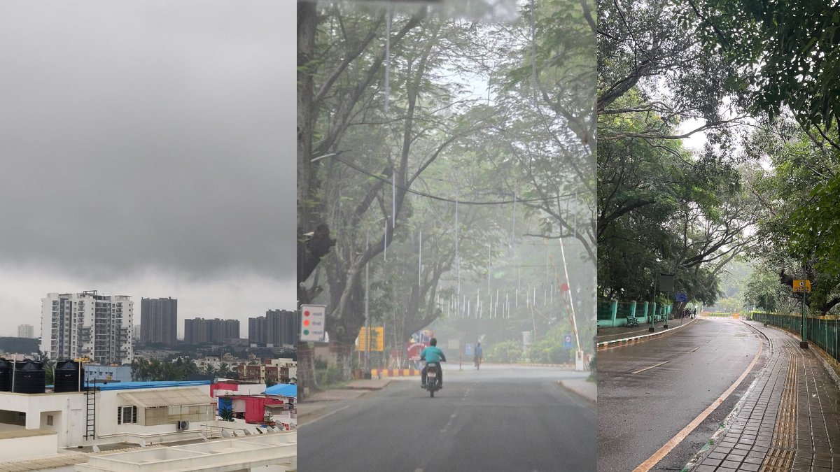 Bengaluru Rains Overnight Showers Blanket Garden City In Fog, Bringing