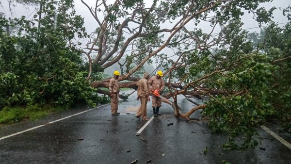 Restoration Work Underway After Cyclone Dana