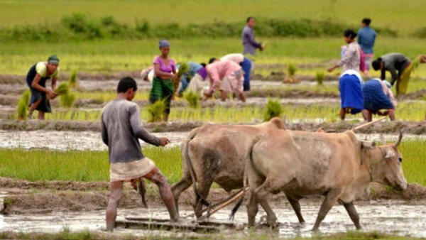 Shinde Govt s Boost For Agriculture